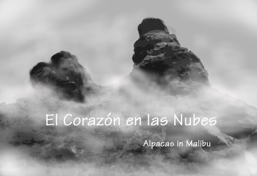 El Corazon en las Nubes